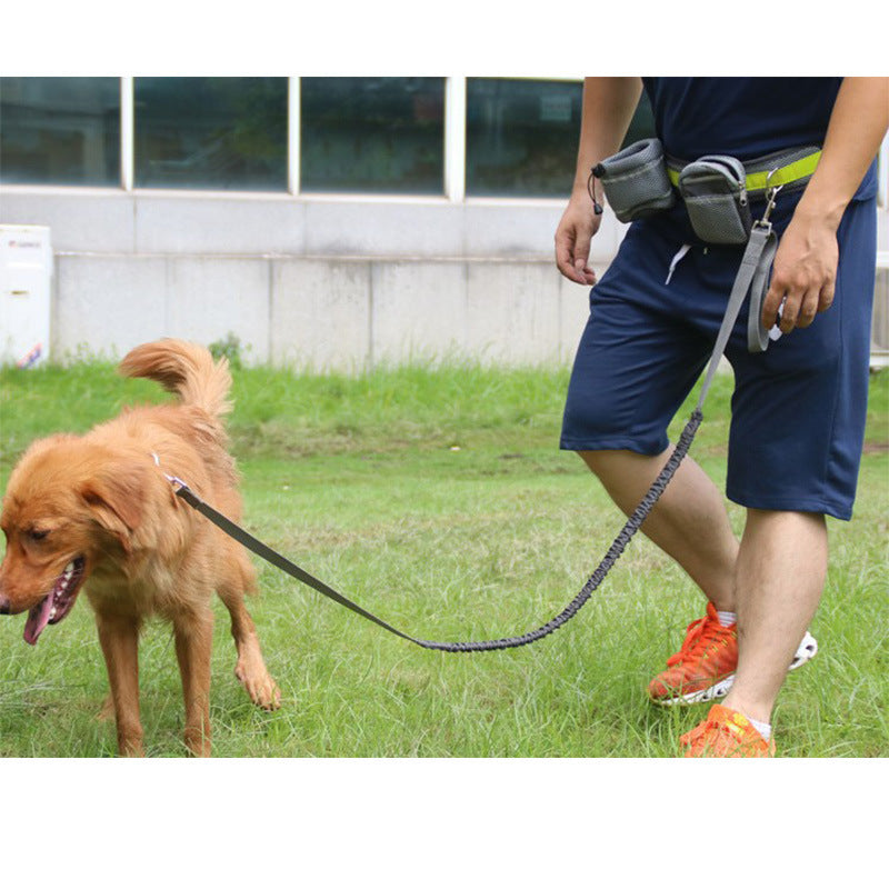 Jog With Your Dog - Adjustable Hands Free Dog Leash