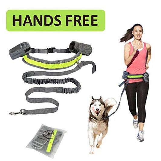 Jog With Your Dog - Adjustable Hands Free Dog Leash