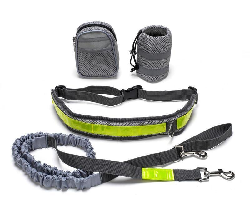 Jog With Your Dog - Adjustable Hands Free Dog Leash