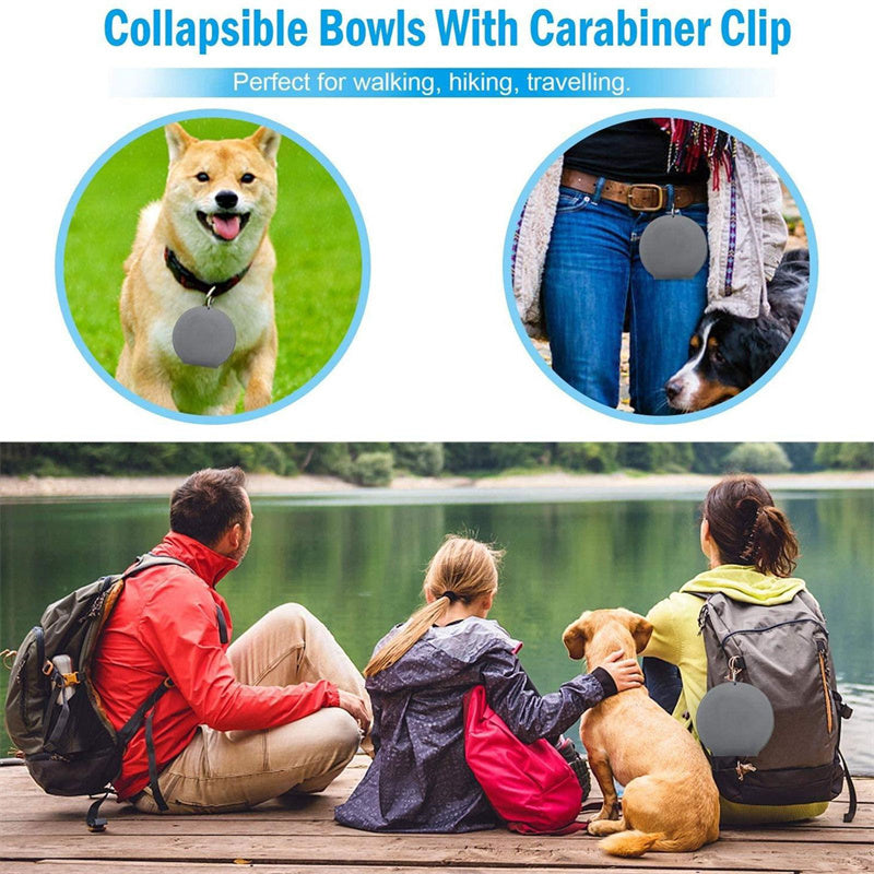 Anti-Flipping and Non-Skidding Silicone Double Collapsible Pet Feeding Bowl