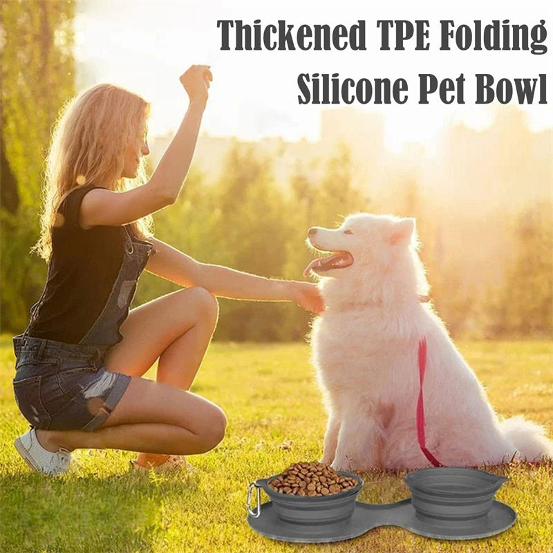 Anti-Flipping and Non-Skidding Silicone Double Collapsible Pet Feeding Bowl