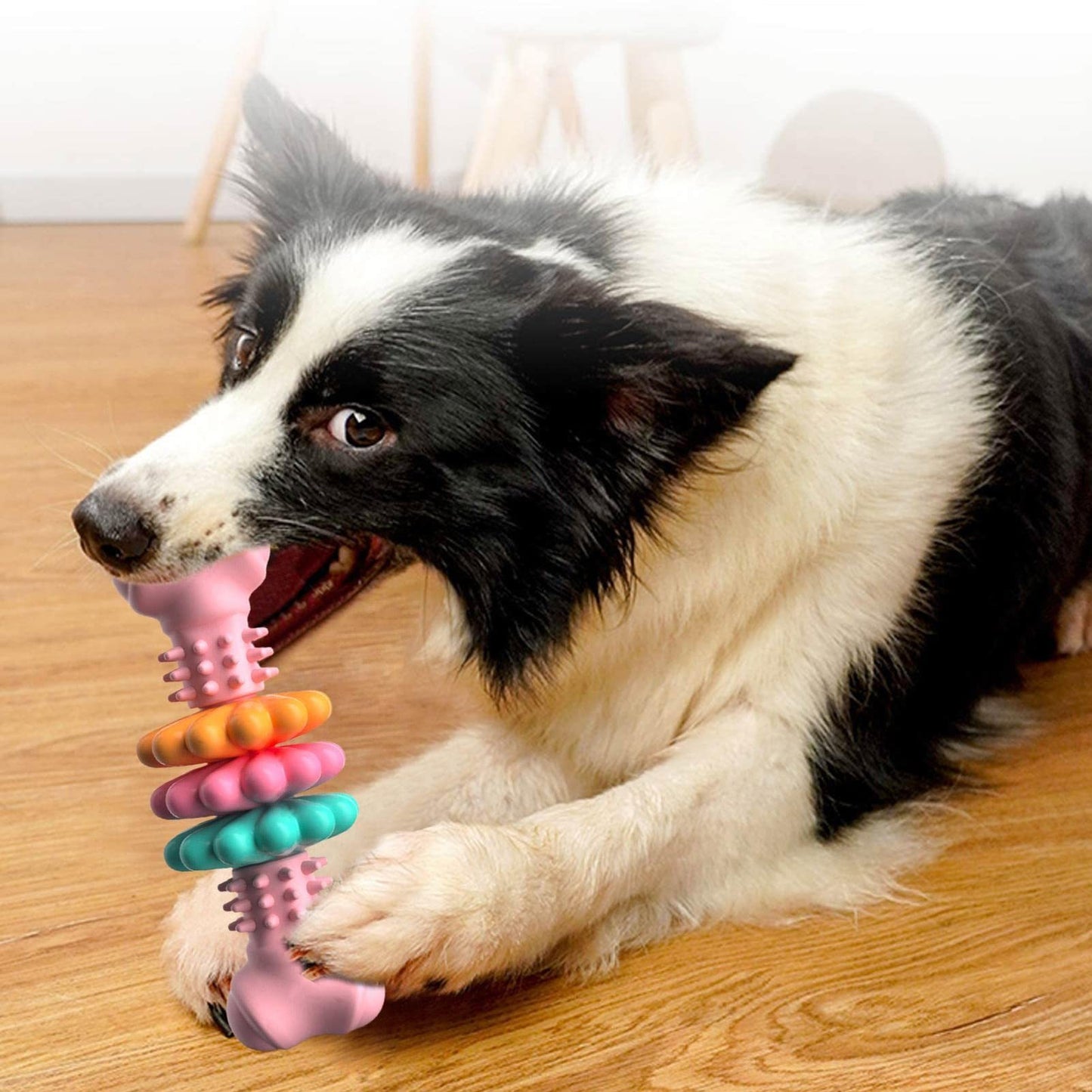 Bite Resistant Toy Bone for Chewing, Teething & Cleaning